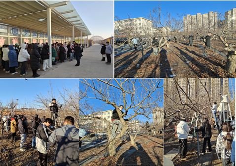 太阳成集团tyc7111cc举办2024年园艺专业果树冬季修剪技术比赛